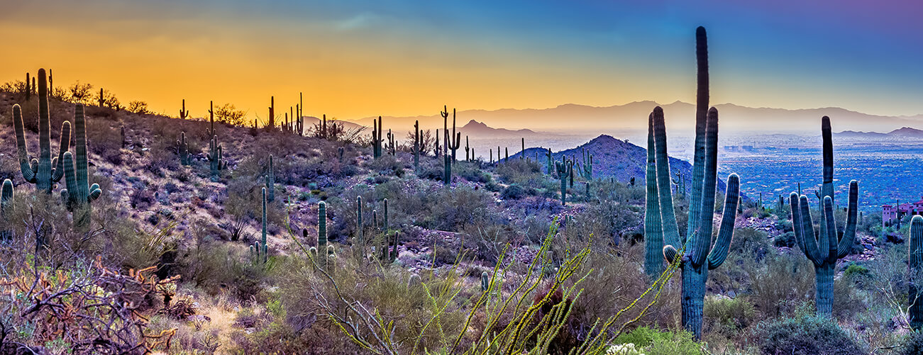 desert views