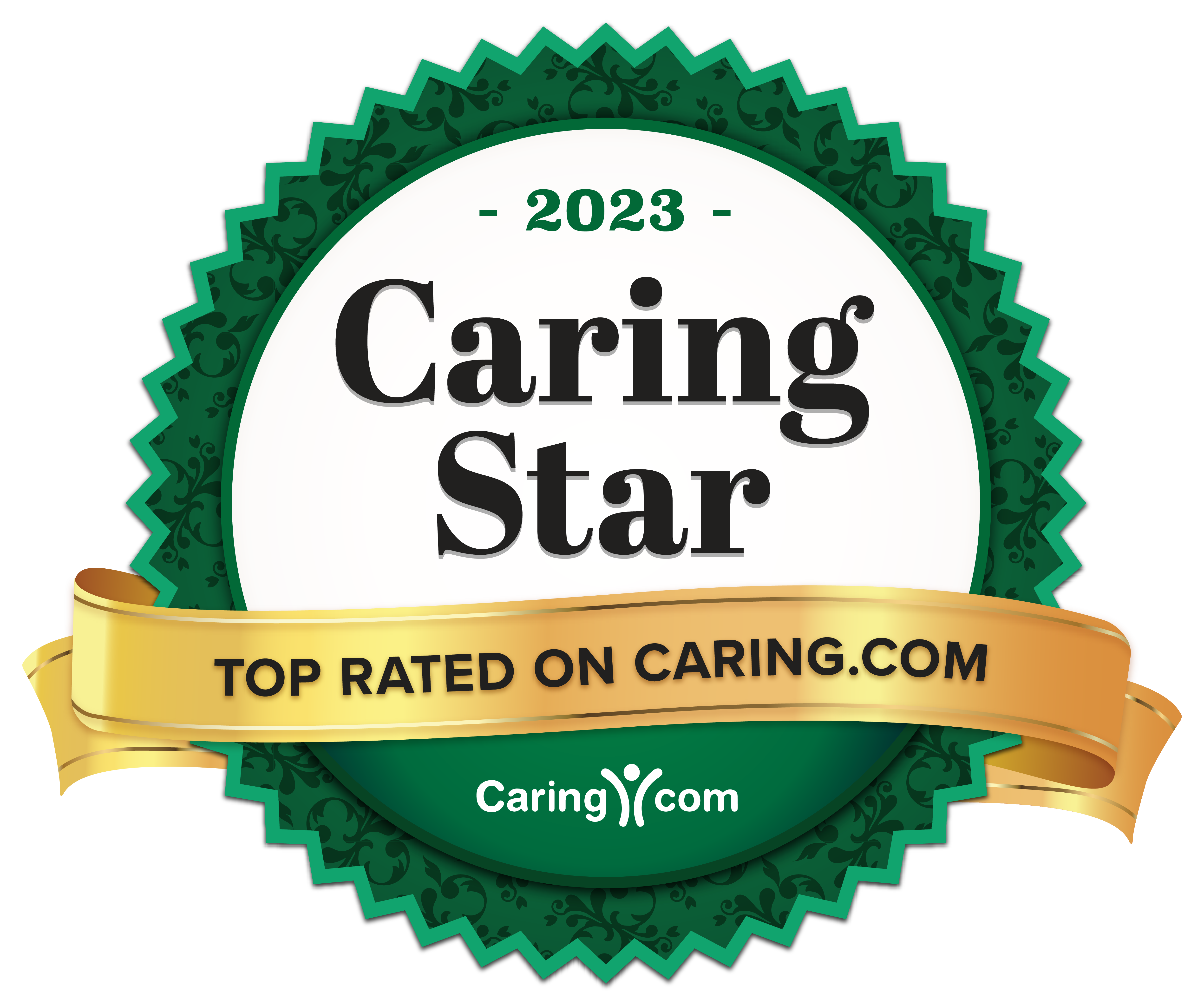 Caring Star Logo 2023